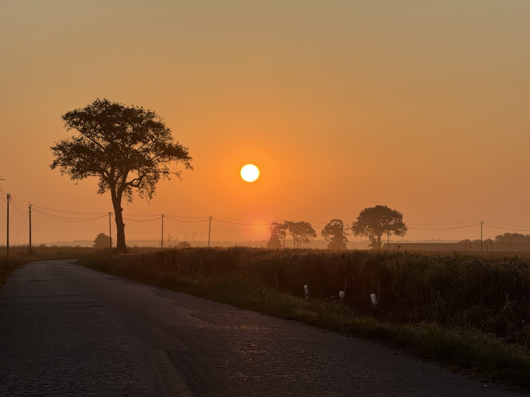 Early Morning Walk